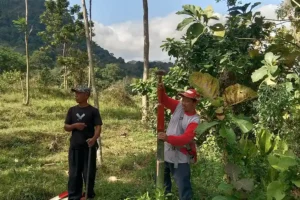 Petani Desa Seloliman, Mojokerto, berupaya mengoptimalkan lahan produktif sekaligus membuat lingkungan tetap terjaga