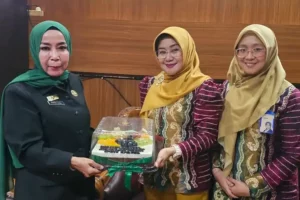 Pj Sekda Kota Banjarbaru Nurliani saat menerima kunjungan Kepala Bank Kalsel Cabang Banjarbaru Khairunnisa di ruang kerja Sekda Kota Banjarbaru.