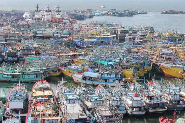 PT Perikanan Indonesia Distribusikan BBM Subsidi untuk Nelayan di Tiga Pelabuhan Kuota BBM dari pemerintah memiliki multiplier effect yang besar terhadap keberlangsungan sumber pangan ikan di Indonesia.