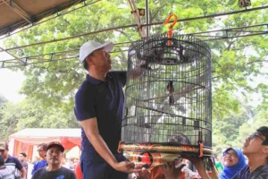Festival dan Kompetisi Burung Berkicau Piala Walikota Jakarta Selatan 2024 Resmi Dimulai Festival dan Kompetisi Burung Berkicau Piala Walikota Jakarta Selatan Tahun 2024 di Taman Bumi Perkemahan Ragunan, Jakarta Selatan