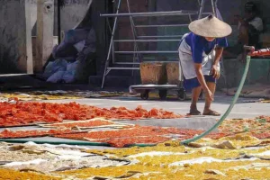 Kerupuk Klenteng Bojonegoro, Kuliner Legendaris Warisan Budaya Tak Benda Indonesia Proses pengeringan kerupuk abang ijo sebelum digoreng