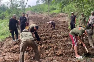 Kolorasi ini dilakukan untuk menghidupkan lahan tidur jadi lahan produktif di Resimen IV Paspelopor Korbrimob Polri, Karawang Timur