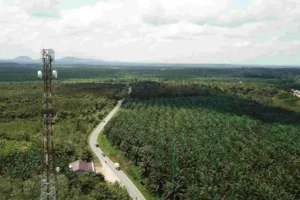 Telkomsel bersama ZTE tingkatkan jaringan 4G di Makassar dan Kendari dengan teknologi Hyper AI