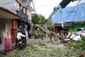 Kondisi rumah warga yang terdampak angin puting beliung di Surabaya