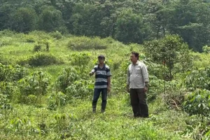 Wilayah Kecamatan Seloliman, Trawas, Mojokerto, yang ditetapkan sebagai kawasan agroforestry dalam program MEWLAFOR KLHK.