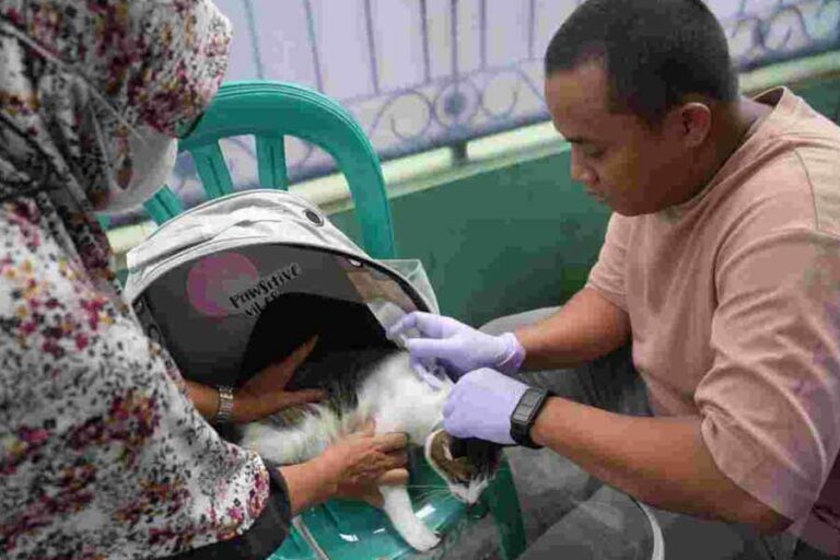 Vaksinasi rabies di Kelurahan Cilangkap, Kecamatan Cipayung, Jakarta Timur