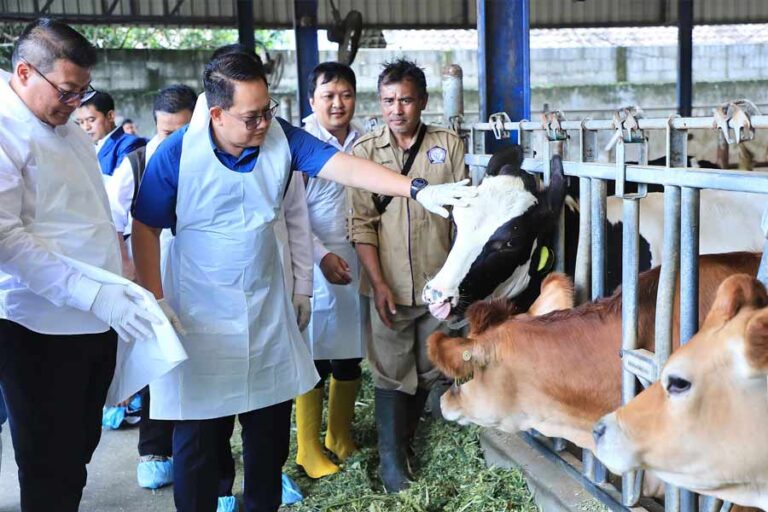 Jatim Antisipasi PMK Lewat Vaksinasi dan Perketat Jalur Perdagangan Ternak penyakit mulut dan kuku