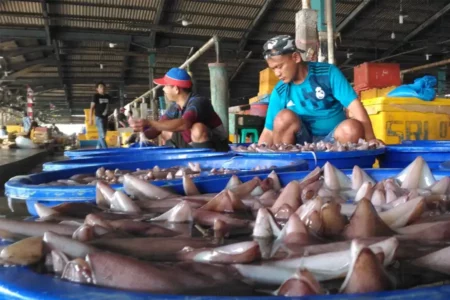 Hasil tangkapan nelayan di Pasar Ikan Modern Muara Baru, Jakarta Utara (foto: Dok InfoPublik)