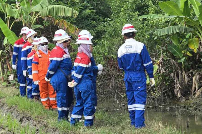 Ambil Sampel di PAD B Sukowati, DLH Jatim: Lihat Saja Ada Tanaman yang Mati atau Tidak Ambil Sampel di PAD B Sukowati, DLH Jatim: Lihat Saja Ada Tanaman yang Mati atau Tidak