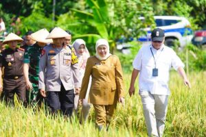 Jawa Timur Kukuhkan Diri Sebagai Lumbung Pangan Nasional Lewat Panen Raya Serentak 2025 Panen Raya Serentak Nasional di 14 Provinsi oleh Presiden RI, Panen di 37 Kabupaten/Kota Se Jatim