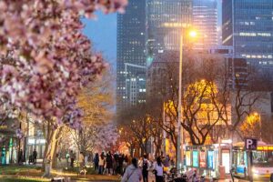 Festival Taman Chaoyang Beijing
