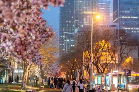 Festival Taman Chaoyang Beijing