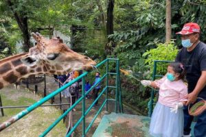 Disbudporapar Surabaya Intensifkan Pengawasan Objek Wisata Selama Libur Lebaran Pastikan Keamanan Pengunjung Selama Libur Lebaran, Disbudporapar Surabaya Monitoring Objek Wisata