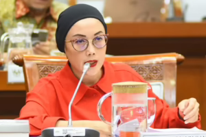 Selly Andriany Gantina, Anggota Komisi VIII DPR RI (fotyo: Dok DPR RI)