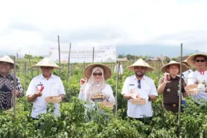 PELNI Resmikan Desa Mandiri Pandanrejo di Batu, Pasok Sayuran untuk Ribuan Penumpang Kapal PELNI melalui program Tanggung Jawab Sosial dan Lingkungan (TJSL) meresmikan Desa Mandiri Pandanrejo di Kota Batu, Jawa Timur.