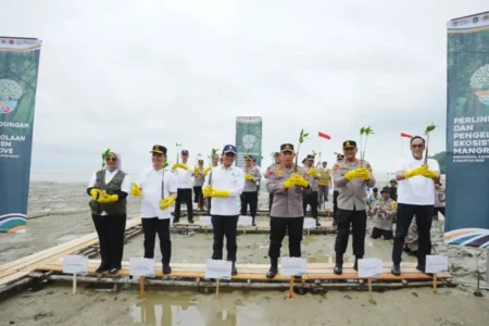 Kapolri Tanam Mangrove di Kalbar: Jaga Alam Demi Masa Depan Anak-Cucu Bangsa Kapolri Jenderal Listyo Sigit tanam mangrove di Mempawah, Kalbar, demi menjaga lingkungan dan masa depan generasi penerus bangsa dari ancaman abrasi.