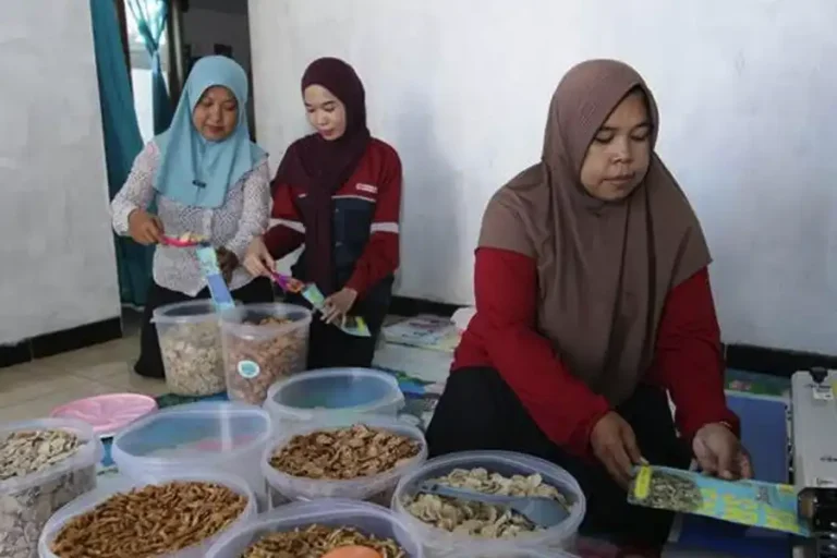 PT S2P Dorong UMKM Pesisir Cilacap Naik Kelas Lewat Inovasi Olahan Hasil Laut PT S2P – PLTU Cilacap kembangkan UMKM pesisir lewat inovasi olahan hasil laut, tingkatkan pendapatan ibu rumah tangga, dan dorong ekonomi lokal.
