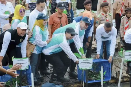 Festival Mangrove ke-VII: UNAIR dan Alumni Wujudkan Komitmen SDGs di Probolinggo UNAIR bersama Pemprov Jatim gelar Festival Mangrove ke-VII di Probolinggo.