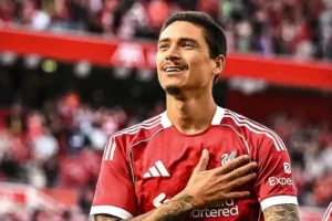 Karier Darwin Nunez di Al-Hilal Terancam, Imbas Kebijakan Baru Saudi Darwin Nunez (sumber foto: instagram @darwin_n9)