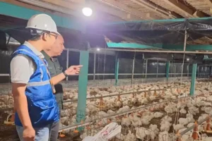 Pemerintah Pastikan Tarif Listrik PLN Tetap Stabil hingga Akhir 2025 Pemerintah pastikan tarif listrik PLN tidak naik pada Triwulan IV 2025, tetap stabil demi menjaga daya beli masyarakat dan dukung pertumbuhan ekonomi.