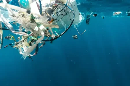 Pembakaran Sampah Plastik Jadi Sumber Utama Mikroplastik di Udara 18 Kota Indonesia Ilustrasi sampah plastik di laut (foto: Naja Bertolt Jensen, unsplash)