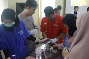 Pemkab Tuban gelar vaksinasi rabies gratis untuk 400 hewan peliharaan dalam rangka World Rabies Day 2025 guna mendukung Indonesia bebas rabies 2030.