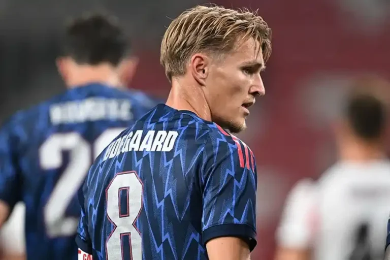 (sumber foto: instagram @odegaard.98)