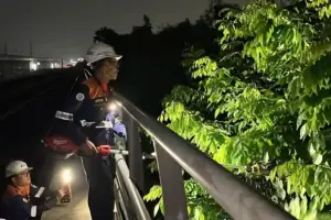 KAI Intensifkan Pemangkasan Pohon di Sepanjang Jalur LRT Jabodebek untuk Perkuat Keamanan Operasional KAI memaksimalkan keamanan LRT Jabodebek melalui pemangkasan pohon berkala di sepanjang jalur untuk mengantisipasi risiko cuaca ekstrem.