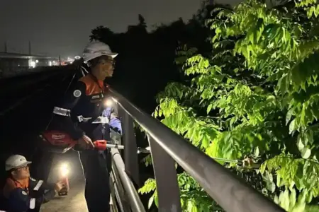 KAI memaksimalkan keamanan LRT Jabodebek melalui pemangkasan pohon berkala di sepanjang jalur untuk mengantisipasi risiko cuaca ekstrem.
