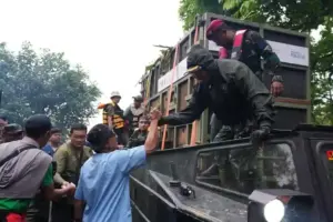 TNI Dukung Translokasi Badak Jawa di Ujung Kulon, Operasi Merah Putih Jadi Tonggak Konservasi Nasional TNI membantu translokasi Badak Jawa di Taman Nasional Ujung Kulon sebagai bagian dari Operasi Merah Putih untuk menjaga populasi satwa langka.