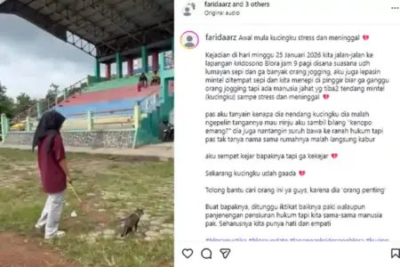 Tangkapan layar unggahan kasus kekerasan terhadap kucing akun instagram @faridaarz