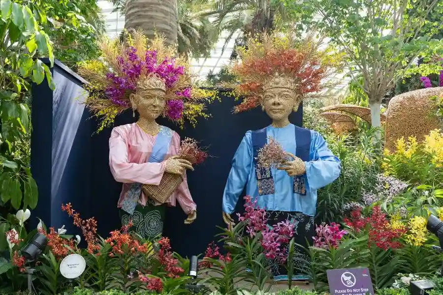 Orchid Extravaganza